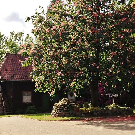 Reiterhof Winandy Villa Wietzendorf Eksteriør bilde