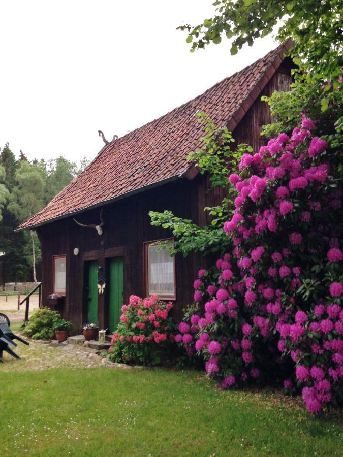 Reiterhof Winandy Villa Wietzendorf Eksteriør bilde