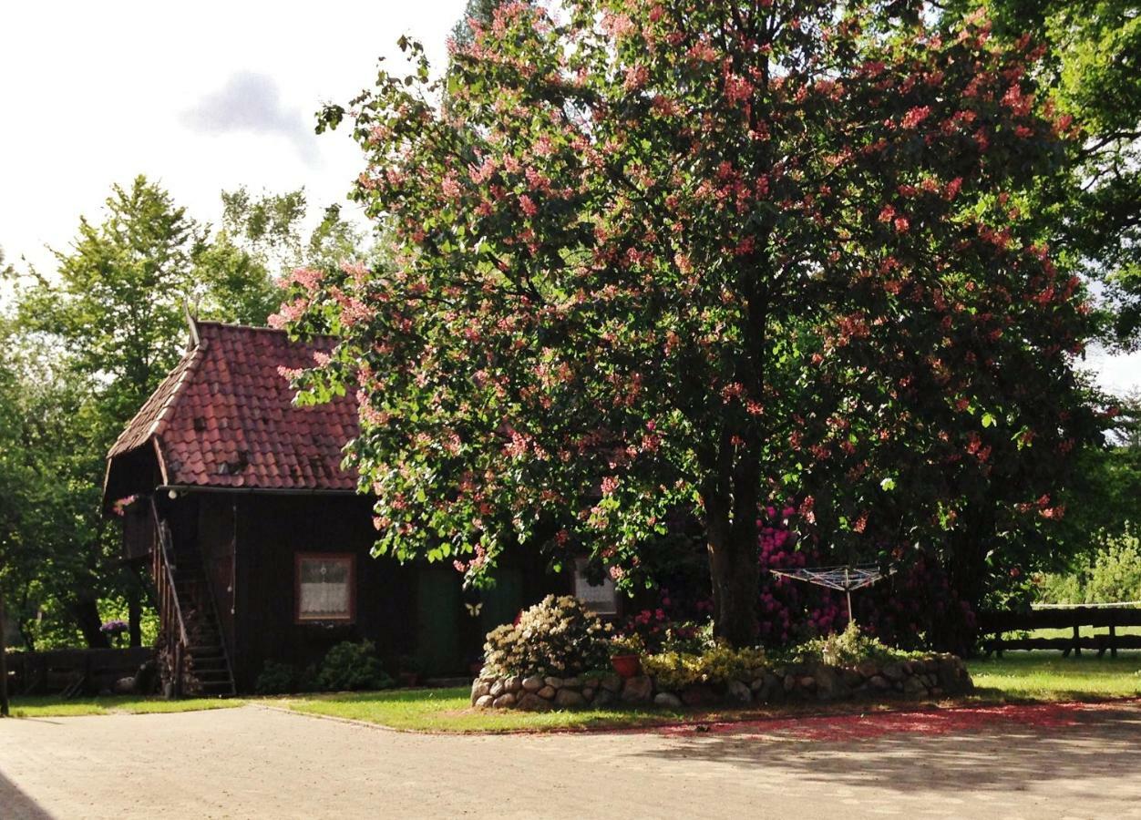 Reiterhof Winandy Villa Wietzendorf Eksteriør bilde